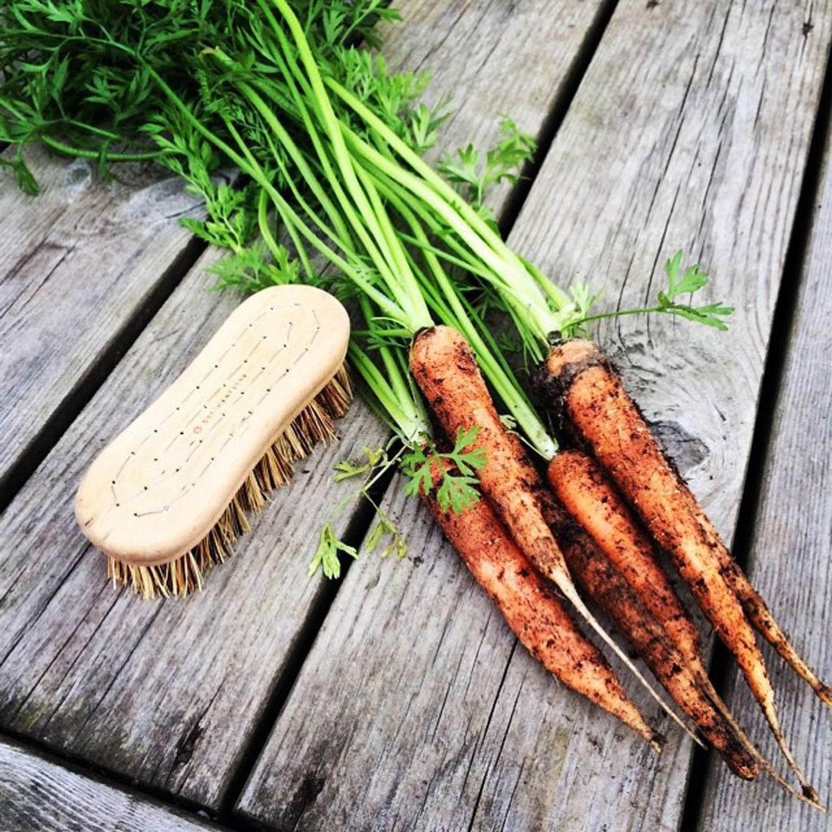 Iris Hantverk - Maple Vegetable & Pan Brush