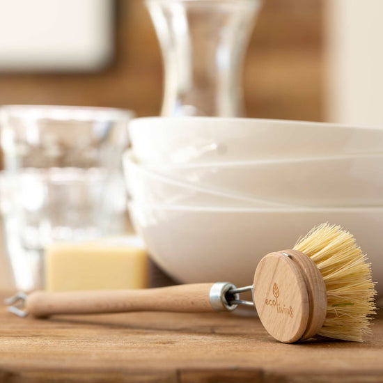 ecoLiving Brushes Wooden Dish Brush with Replaceable Head - ecoliving