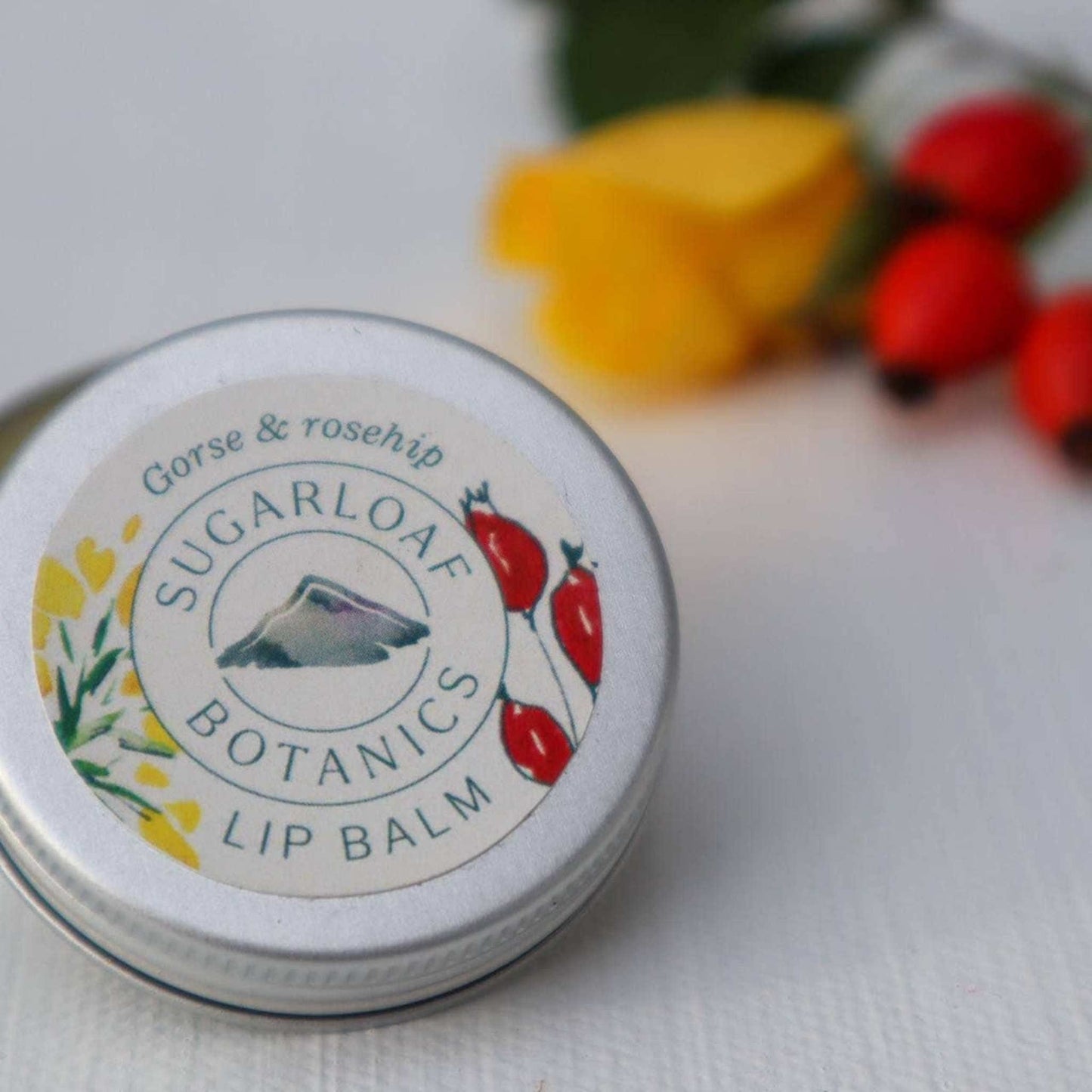 Sugarloaf Botanics Lip Balm Gorse & Rosehip Lip Balm 15ml - Sugarloaf Botanics