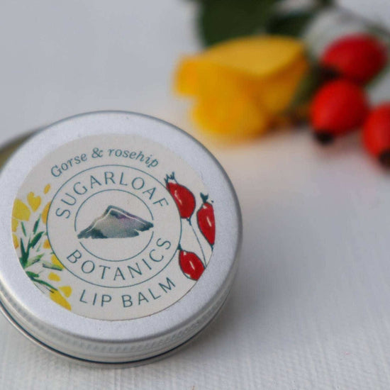 Sugarloaf Botanics Lip Balm Gorse & Rosehip Lip Balm 15ml - Sugarloaf Botanics